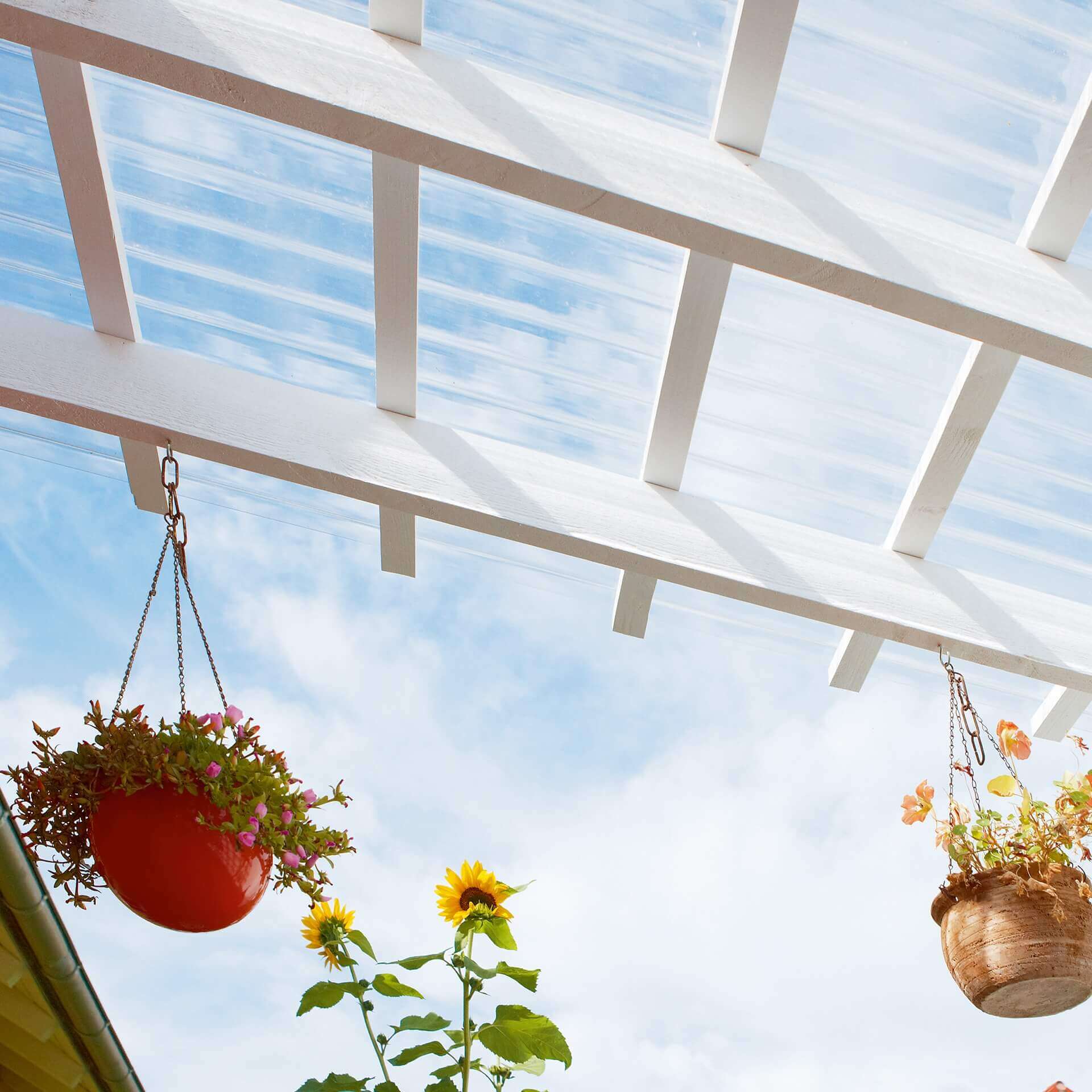 Enkelwandige lichtplaten van polycarbonaat, als terrasoverkapping.