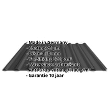 Damwandplaat 20/1100 | Dak | Anti-Drup 1000 g/m² | Staal 0,50 mm | 25 µm Polyester | 9005 - Gitzwart #2