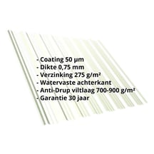 Damwandplaat T18DR | Dak | Anti-Drup 700 g/m² | Staal 0,75 mm | 50 µm PURLAK® | 9002 - Grijswit #2