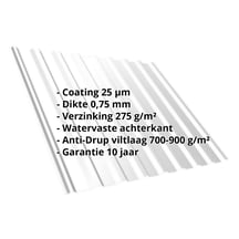 Damwandplaat T20M | Dak | Anti-Drup 700 g/m² | Staal 0,75 mm | 25 µm Polyester | 7035 - Lichtgrijs #2