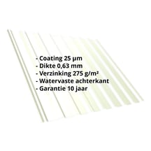 Damwandplaat T20M | Dak | Staal 0,63 mm | 25 µm Polyester | 9002 - Grijswit #2