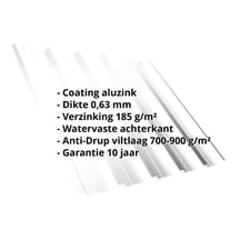 Damwandplaat T35DR | Dak | Anti-Drup 700 g/m² | Staal 0,75 mm | Aluzink | Zilvergrijs #2