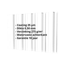 Damwandplaat T35DR | Gevel | Staal 0,50 mm | 25 µm Polyester | 9010 - Zuiverwit #2