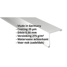 Nok lessenaarsdak | 200 x 250 mm | 80° | Staal 0,50 mm | 25 µm Polyester | 7035 - Lichtgrijs #2