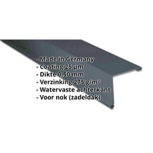 Nok lessenaarsdak | 200 x 250 mm | 80° | Staal 0,50 mm | 25 µm Polyester | 7016 - Antracietgrijs #2