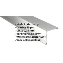 Nok lessenaarsdak | 200 x 250 mm | 80° | Staal 0,75 mm | 25 µm Polyester | 9002 - Grijswit #2