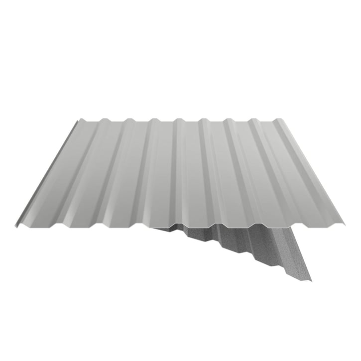 Damwandplaat 20/1100 | Dak | Anti-Drup 1000 g/m² | Staal 0,75 mm | 25 µm Polyester | 9006 - Zilver-Metallic #6