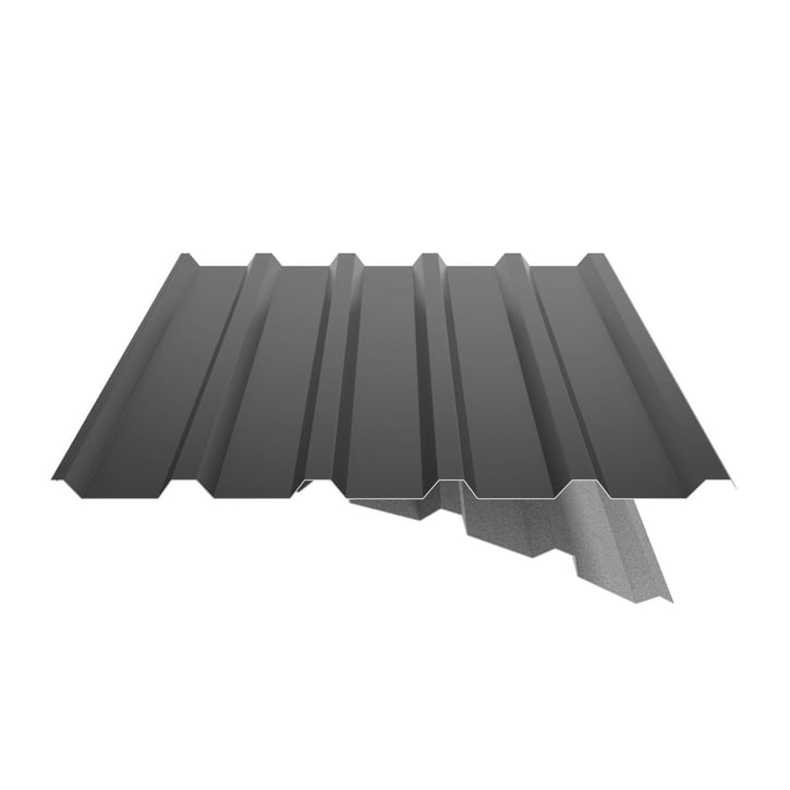 Damwandplaat 35/207 | Dak | Anti-Drup 1000 g/m² | Staal 0,50 mm | 25 µm Polyester | 9005 - Gitzwart #6