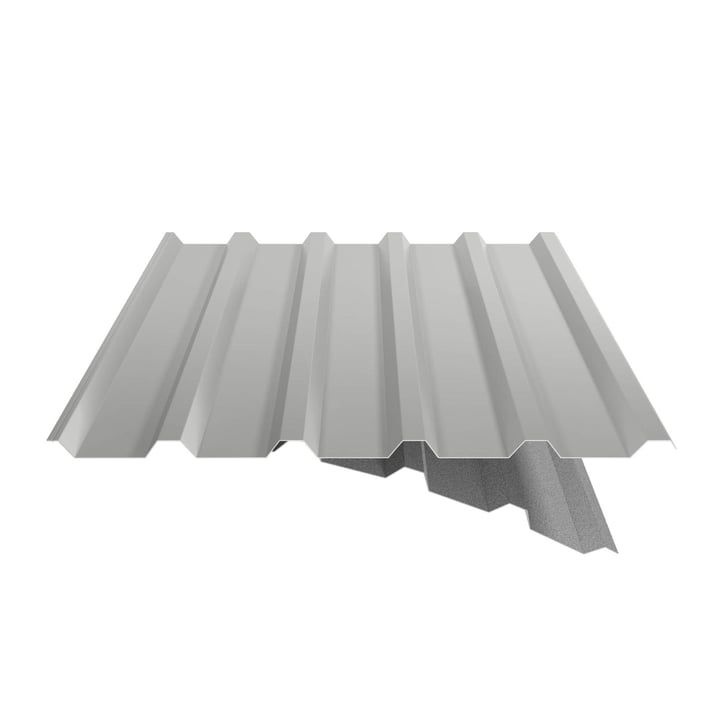 Damwandplaat 35/207 | Dak | Anti-Drup 1000 g/m² | Staal 0,50 mm | 25 µm Polyester | 9006 - Zilver-Metallic #6