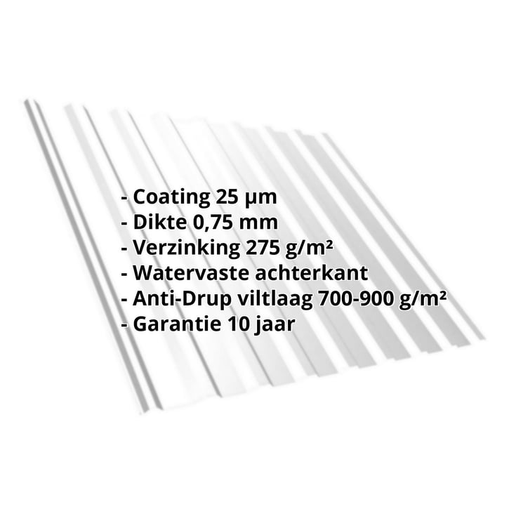 Damwandplaat T20M | Dak | Anti-Drup 700 g/m² | Staal 0,75 mm | 25 µm Polyester | 7035 - Lichtgrijs #2